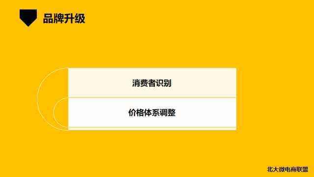 北大微电商联盟 企业转型移动互联网 ip和品牌营销